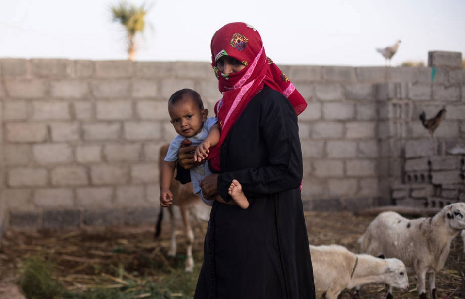 EU góp 12 triệu Euro giúp FAO đối phó nạn đói tại Yemen