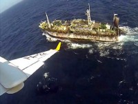 my tiep tuc la thi truong xuat khau lon nhat cua ca tra viet nam