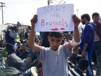 algeria trie t pha ma ng luo i ho tro ta i chi nh khu ng bo