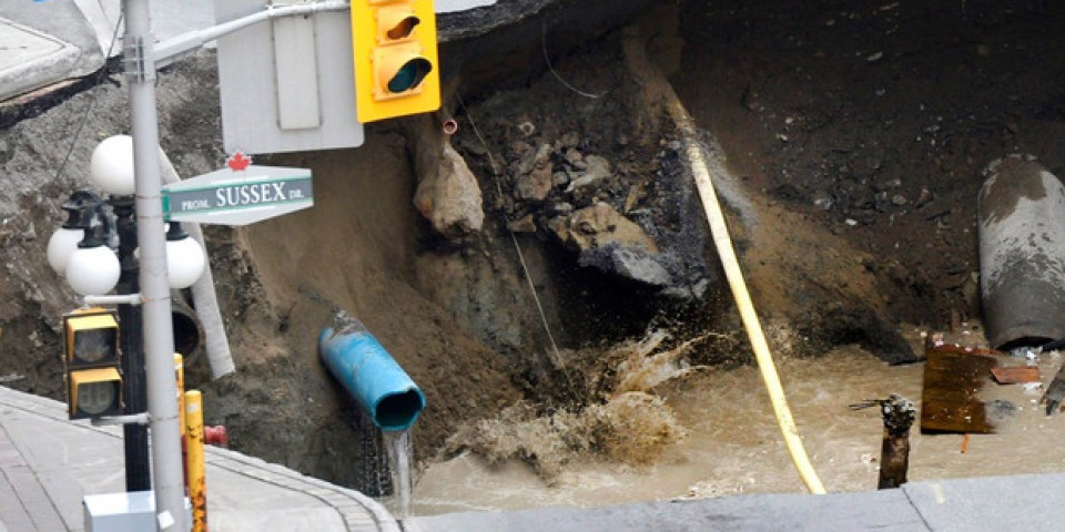 ho tu than lon xuat hien ngay trung tam thu do canada