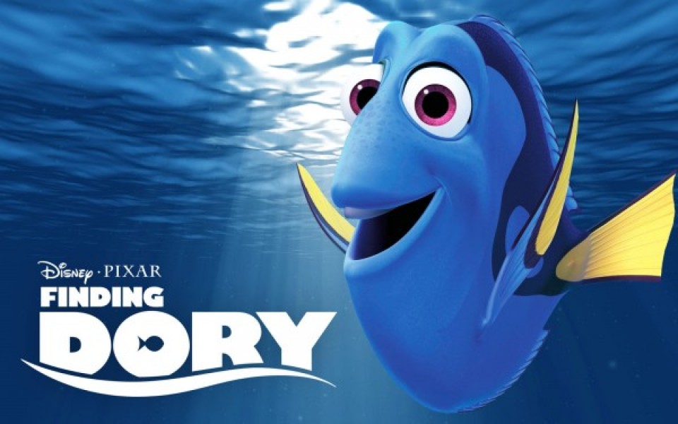 dory da ng tri la p ky lu c