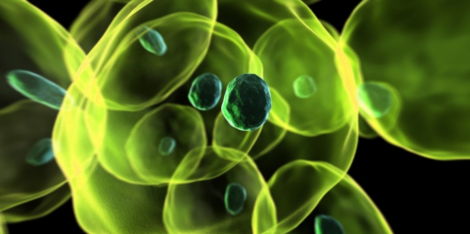 hat nano silicon mang theo thuoc dieu tri ung thu