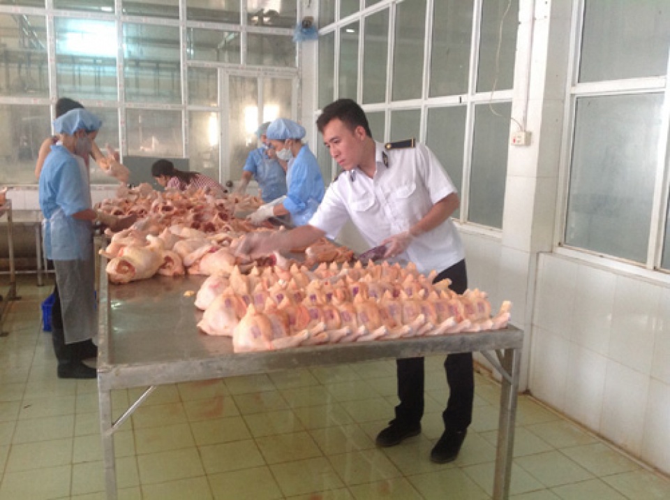 Hà Nội phát hiện hơn 11.500 cơ sở vi phạm an toàn vệ sinh thực phẩm ha noi phat hien hon 11500 co so vi pham an toan ve sinh thuc pham