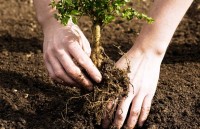 giam khi thai nha kinh kho hon du ti nh