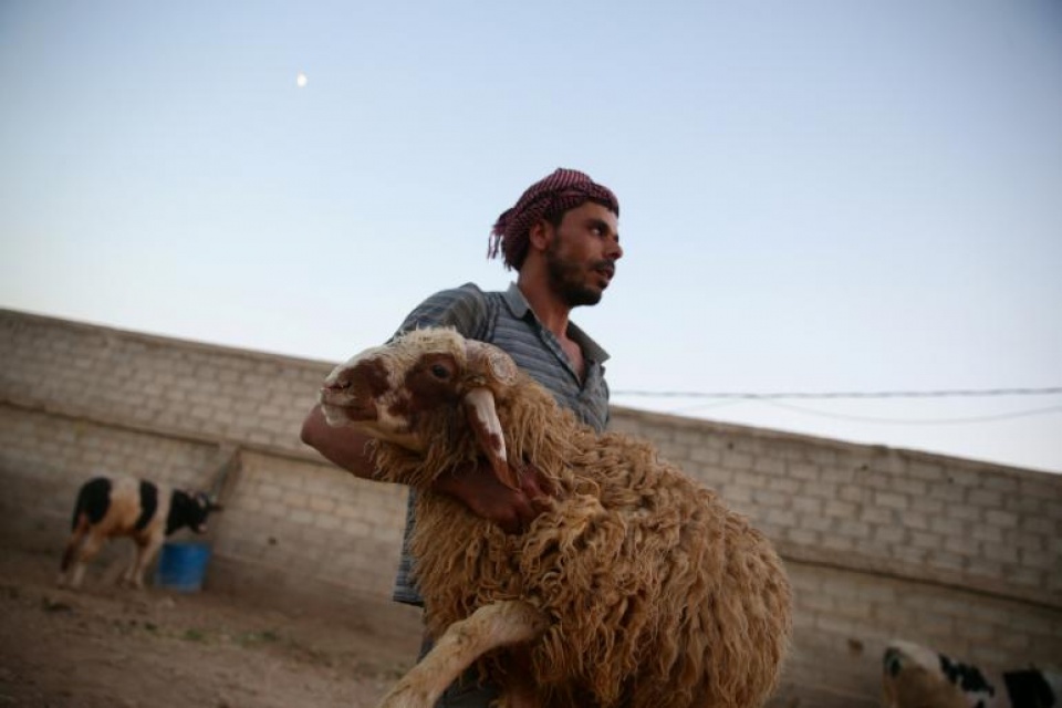 hon 15 ty nguoi hoi giao cha o do n le hie n sinh