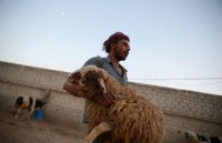 duc dong cua co quan dai dien o tho nhi ky