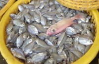 tin nhap 20161013224248