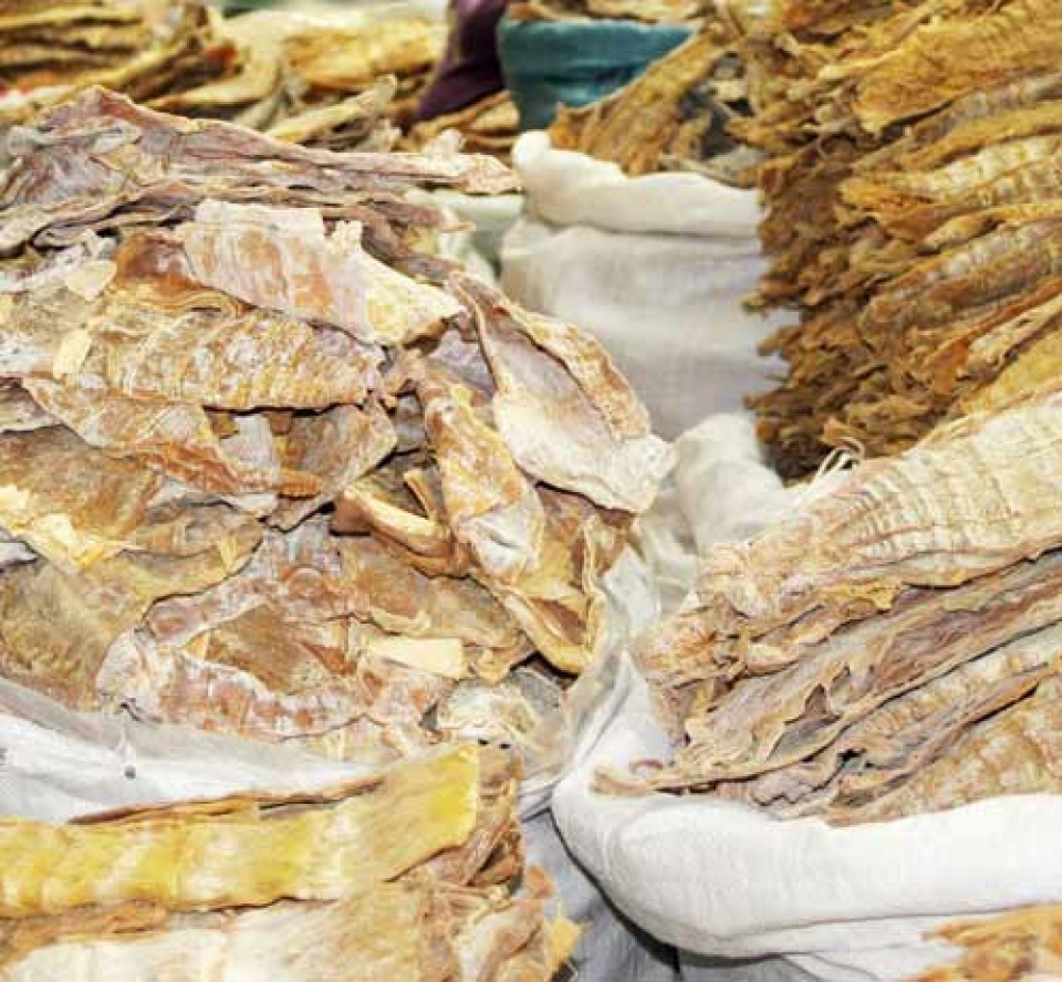 can benh minh thuan mac phai khien 17000 nguoi viet chet moi nam