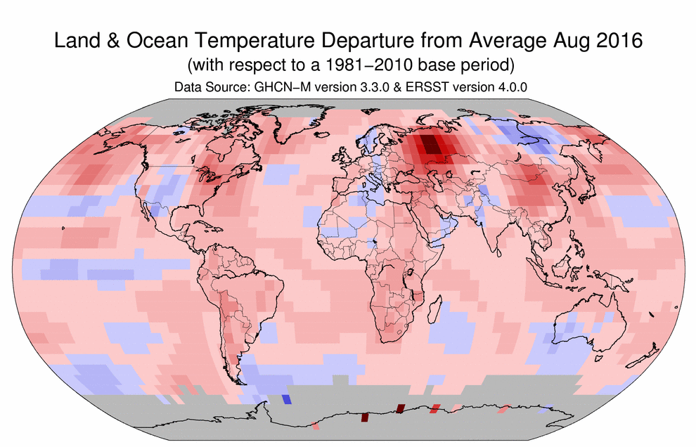 hang nghin con doi chet vi nang nong o australia