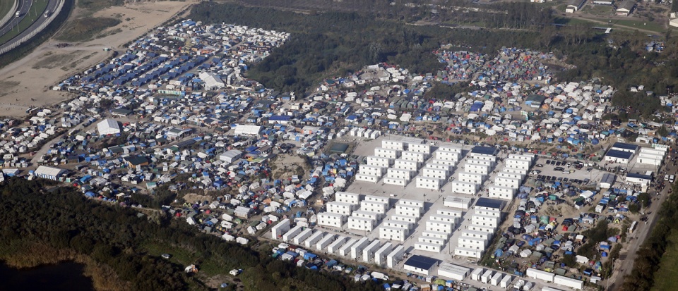 su that ve khu rung lan trai calais