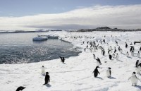 du ng wifi chu a cu ng ca n gio i toa n