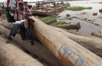 toi pham moi truong van nan thu tu cua hanh tinh