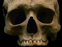 canh bao sieu sot ret dang lay lan o dong nam a