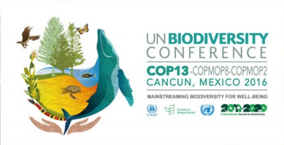 tuyen bo chung cancun ve ba o to n da da ng sinh ho c