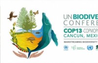 viet nam co nguy co mat di cac loai dac huu do khai thac da