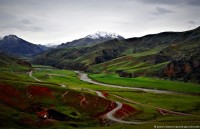 phat hien moi day thu vi ve kha nang hoc hoi cua loai ong nghe