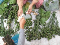 nguoi ha noi choi dau xem gi dip tet ky hoi 2019