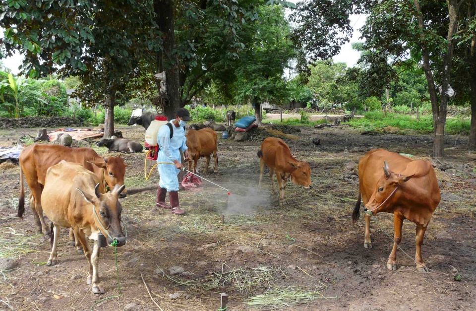 dich lo mo m long mong bung phat tai tinh bien gioi campuchia giap viet nam