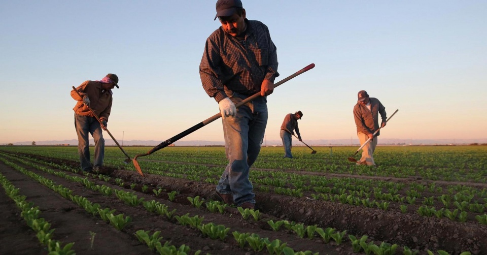 mexico ty le that nghiep thap nhat trong 11 nam