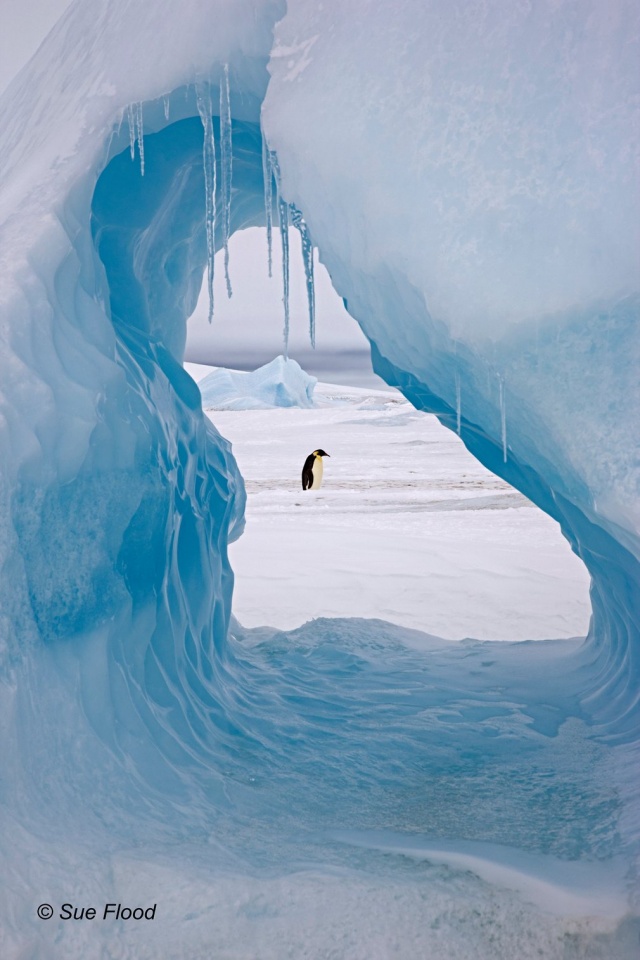 hinh anh an tuong o hai vung cuc