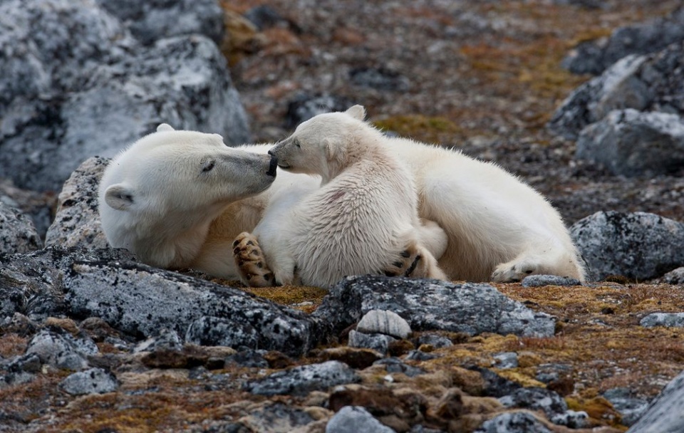 hinh anh an tuong o hai vung cuc