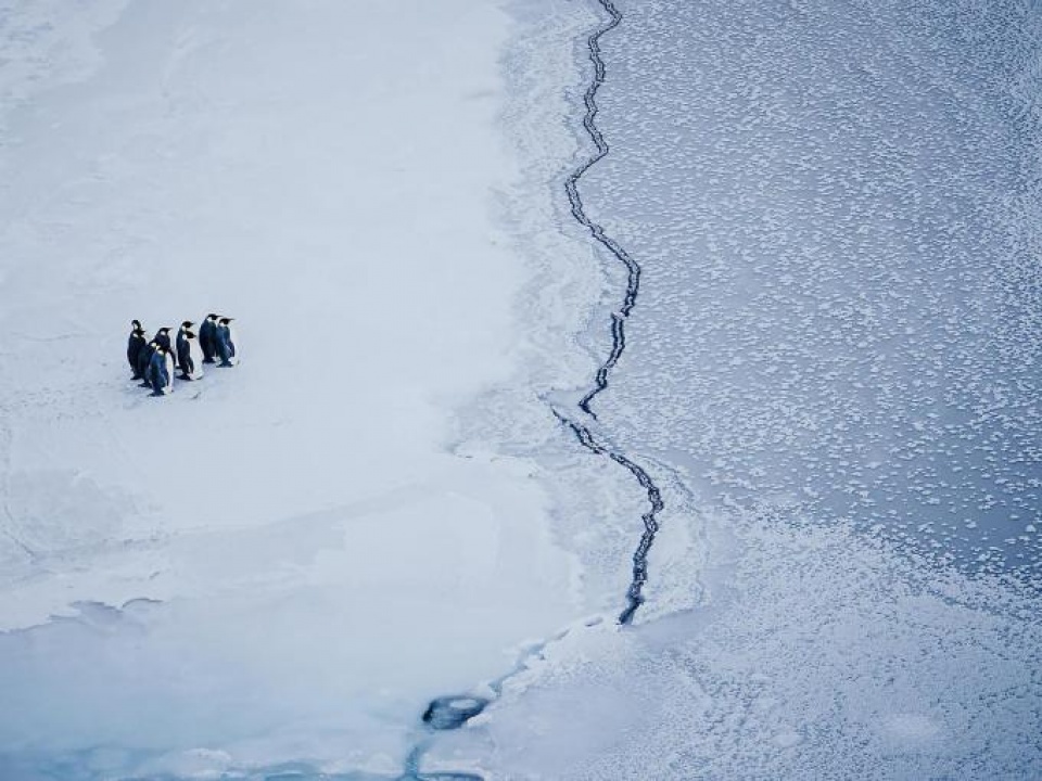 Biến đổi khí hậu nghiêm trọng đến mức nào? bien doi khi hau nghiem trong den muc nao