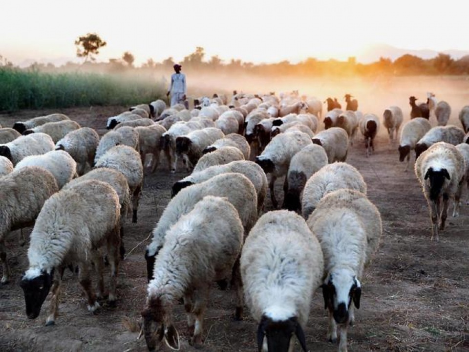 Biến đổi khí hậu nghiêm trọng đến mức nào? bien doi khi hau nghiem trong den muc nao
