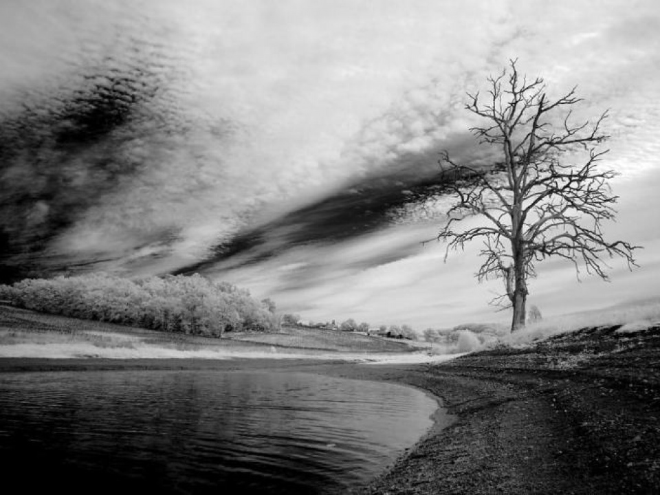 Biến đổi khí hậu nghiêm trọng đến mức nào? bien doi khi hau nghiem trong den muc nao