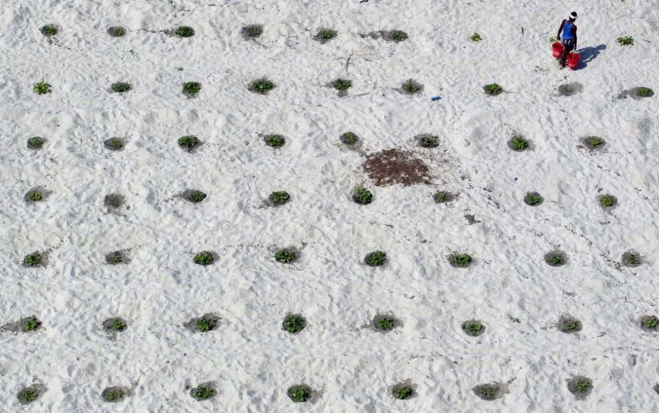 anh moi truong an tuong nam 2016