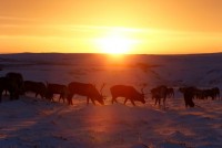 nhung hinh anh chuyen la an tuong nhat nam 2016