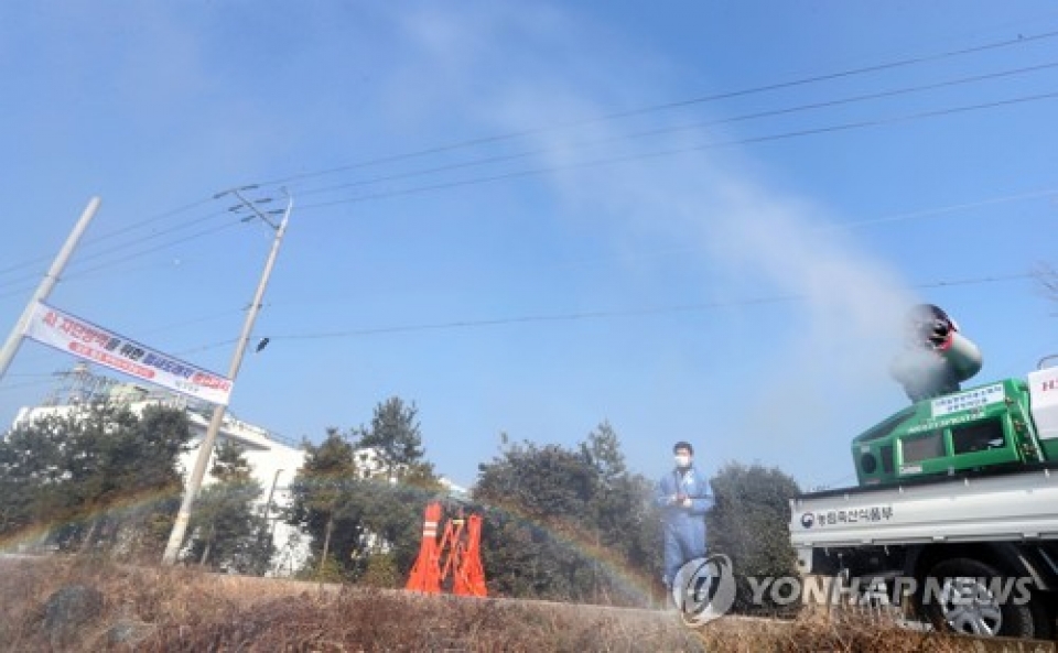 han quoc phat hien them o dich cum gia cam h5n6