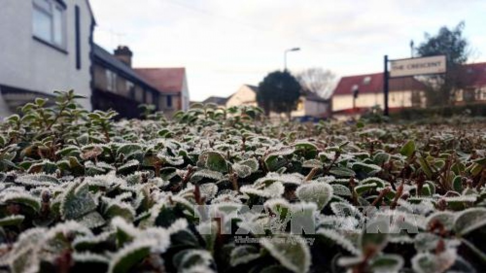 gioi khoa hoc khang dinh khong co su suy giam toc do am len toan cau