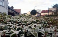 khi co the yeu con nguoi de bi chinh moi truong tan cong