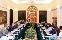 thu truong thuong truc bui thanh son tiep quoc vu khanh anh simon mcdonald