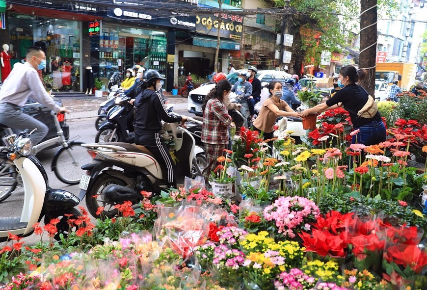 Tấp nập chợ hoa phố Hoàng Hoa Thám, Hà Nội những ngày cận Tết Nhâm Dần