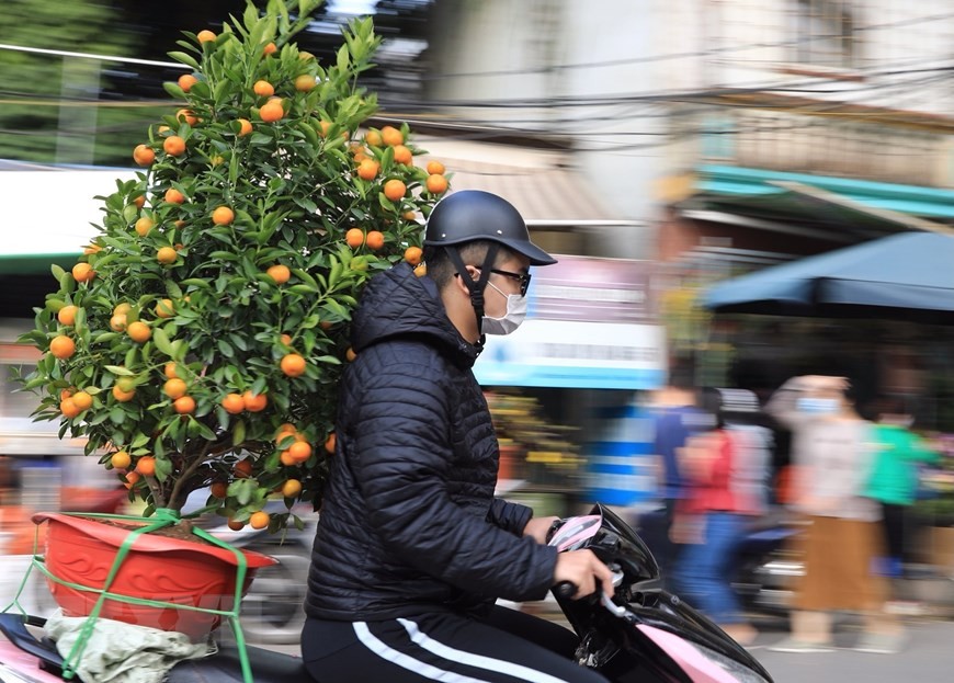 Tấp nập chợ hoa phố Hoàng Hoa Thám, Hà Nội những ngày cận Tết Nhâm Dần