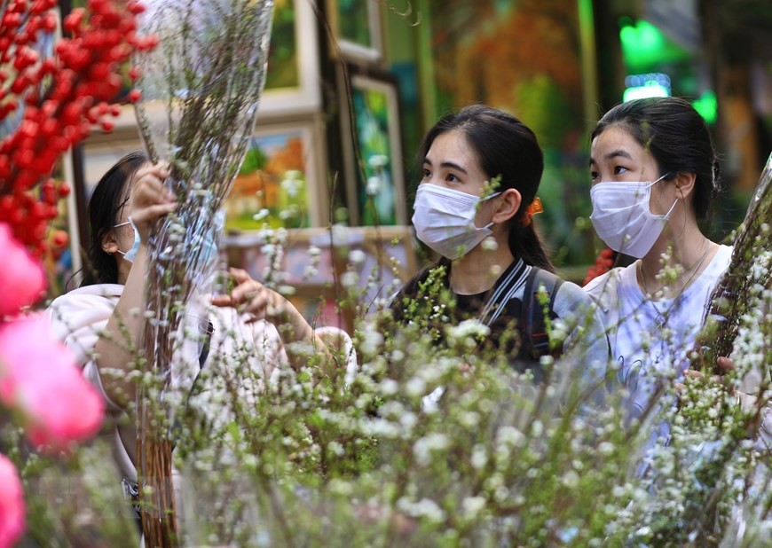 Tấp nập chợ hoa phố Hoàng Hoa Thám, Hà Nội những ngày cận Tết Nhâm Dần