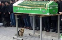 chu cho may man duoc di du lich khap the gioi