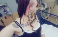 nguoi dan ong phai nhap vien vi co can con ran de tra thu