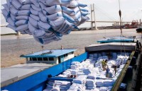 hiep hoi nong dan italy bay to quan ngai ve gao nhap khau tu dong nam a