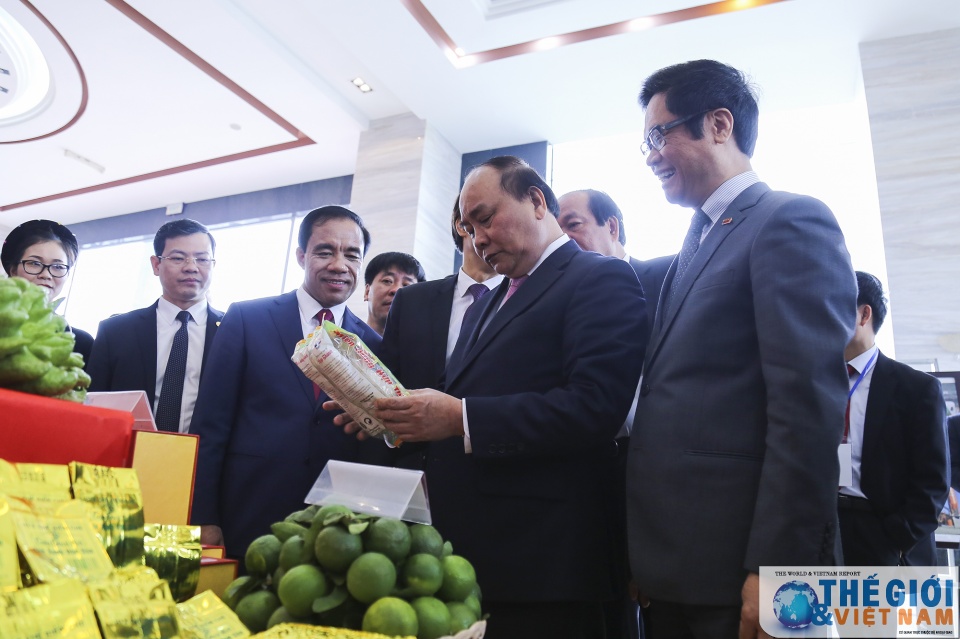 Thủ tướng Chính phủ: Doanh nghiệp ký kết đầu tư là phải thực hiện thu tuong chinh phu doanh nghiep ky ket dau tu la phai thuc hien