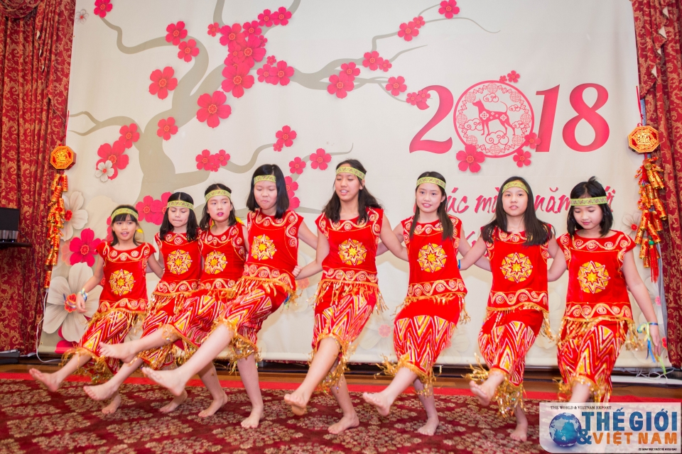 dai su quan viet nam tai hoa ky to chuc mung xuan mau tuat