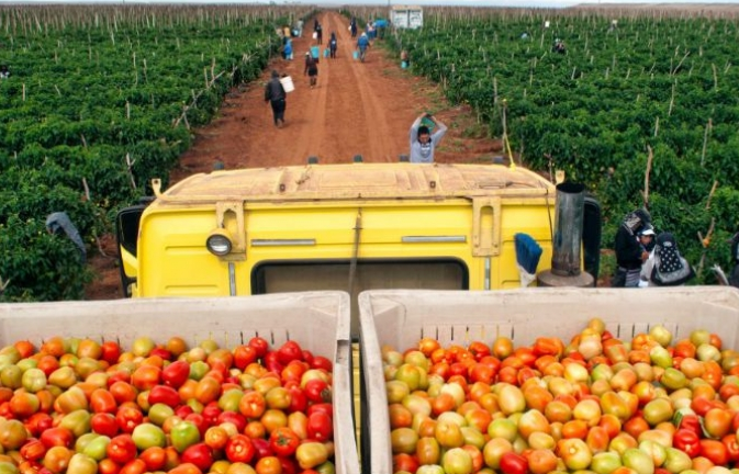 mexico xuat khau nong nghiep ky luc trong nam 2017