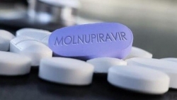 Ba loại thuốc chứa Molnupiravir sản xuất trong nước vừa được Bộ Y tế cấp phép
