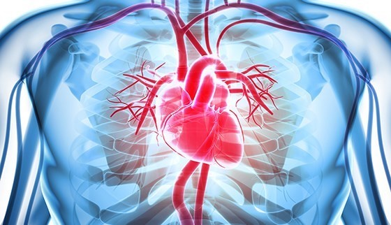 Bệnh lý tim mạch ngày càng tăng sau khi mắc Covid-19. (Nguồn: hopkinsmedicine.org)