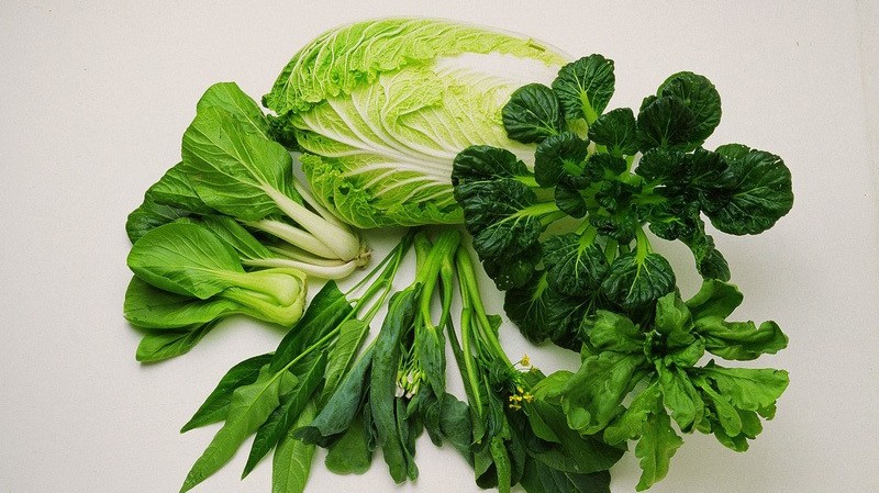 che do an giup f0 tang mien dich rut ngan tho i gian die u tri