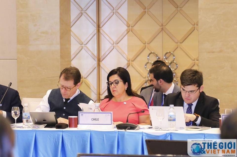 21 nen kinh te apec tu hop tai nha trang