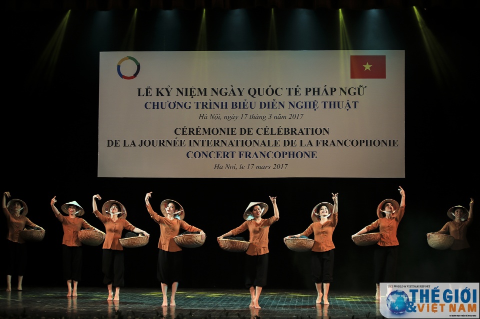 dem hoa nhac da sac mau ky niem ngay quoc te phap ngu