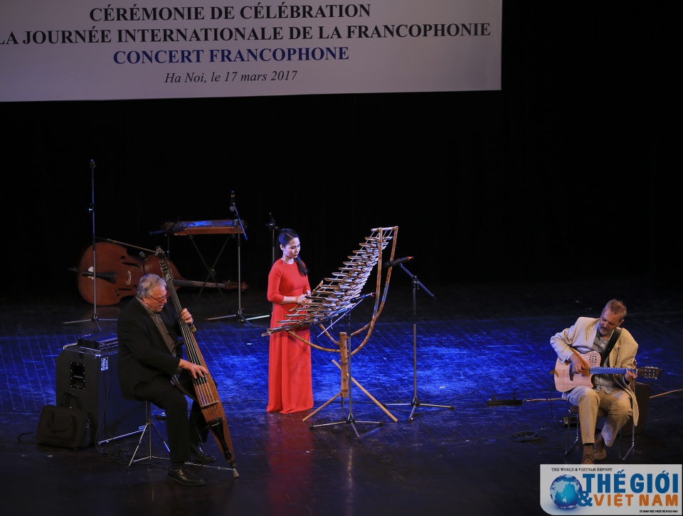 dem hoa nhac da sac mau ky niem ngay quoc te phap ngu