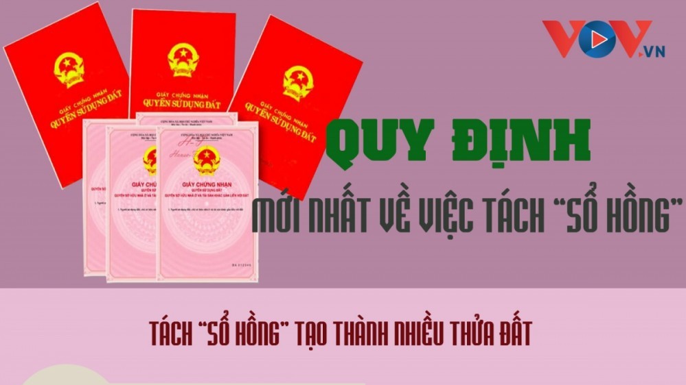 Infographic: Quy định mới nhất về thủ tục tách Giấy chứng nhận quyền sử dụng đất